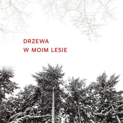 drzewa w moim lesie