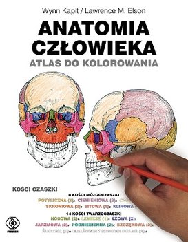 anatomia człowieka. atlas do kolorowania