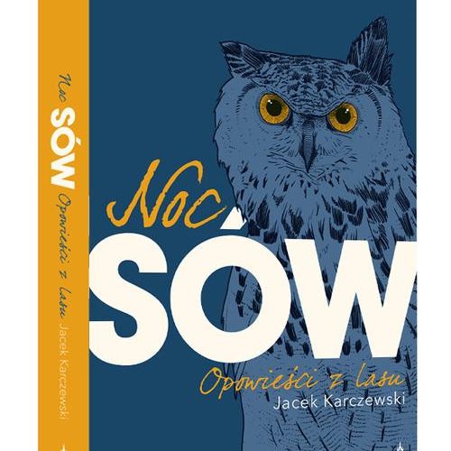 noc sów
